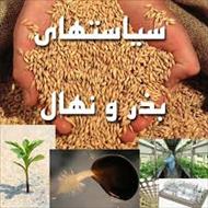 سند امنیت بخش بذر