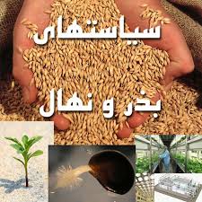 سند امنیت بخش بذر